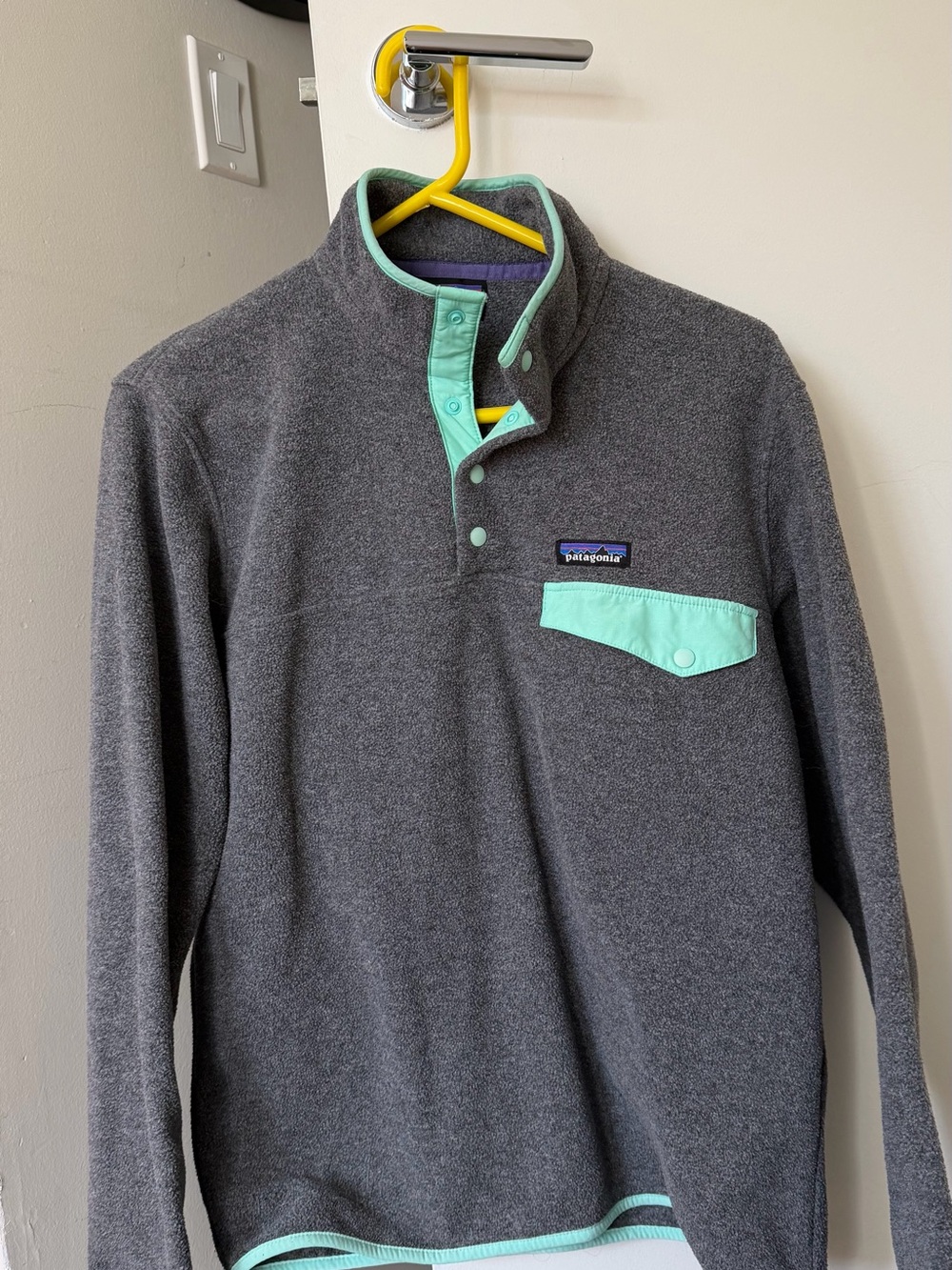 Patagonia Synchilla Snap-T Pullover with Mint Trim
